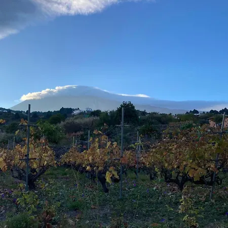 Finca De La Msica - Pop Apartamento Icod De Los Vinos